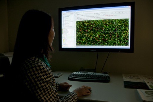 A scientist reviews an array of data points on a large monitor in a darkened laboratory